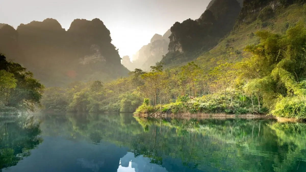 科技高标准
